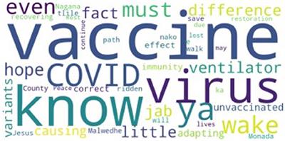 Public sentiments toward COVID-19 vaccines in South African cities: An analysis of Twitter posts